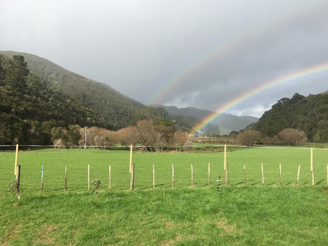 Narrow Neck Creek Farmstay And B&B Upper Hutt Exterior photo